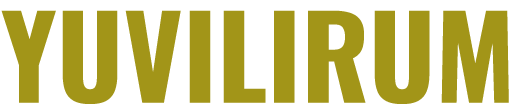 Pryzon